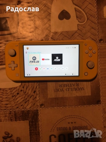 Nintendo switch lite