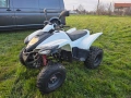 ATV Luxxon 300, снимка 3