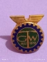 Винтидж значка на винт 50г. GTW рядка за КОЛЕКЦИЯ 53618, снимка 1