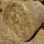 Ролонни Бали Овес и Фий, снимка 2