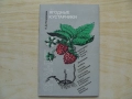 За ценители и колекционери. Уникални руски книги. Технически и художествени, снимка 14