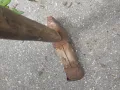 Стари инструменти ,чуковеи туба от село, снимка 6