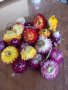сухи цветя - Безмъртниче - Хелихризум, снимка 1 - Изкуствени цветя - 44213602