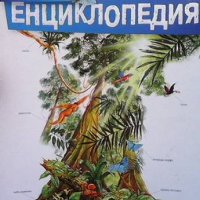Детска енциклопедия. Том 8: Тропическата гора, снимка 1 - Детски книжки - 41957203