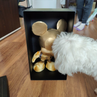 Колекционерски Златен Мики Маус Mickey Mouse Collectors Club Golden, снимка 3 - Плюшени играчки - 44737749