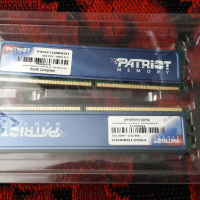 Рам памет Patriot 1 GB (2 броя), снимка 1 - RAM памет - 44605296