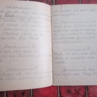 Стар немски дневник лексикон 1947, снимка 4 - Колекции - 36100172