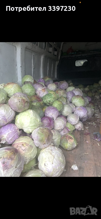 Зеле кьосе, снимка 1