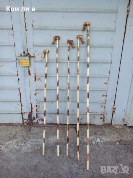 5 брой геги , снимка 1