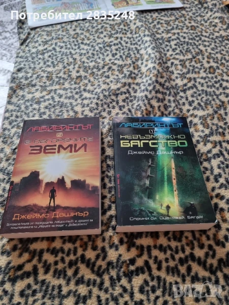 Лабиринтът-Невъзможно бягство; В обгорените земи , снимка 1