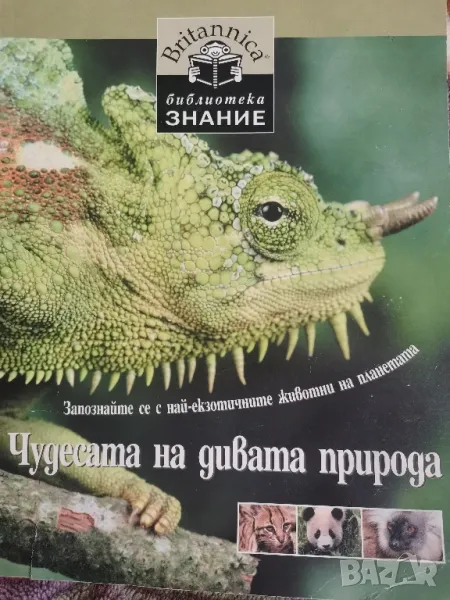 Чудесата на дивата природа , снимка 1