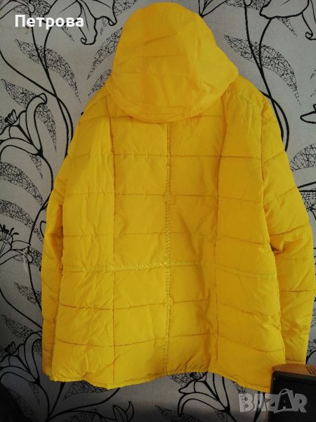 Зимно яке "CECIL" , снимка 1