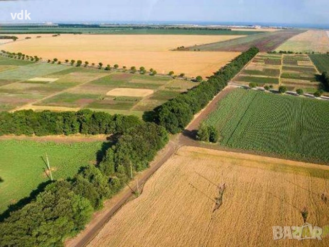 ПРОДАВА!!! Земеделска земя район с. Свобода - общ. Добрич! 