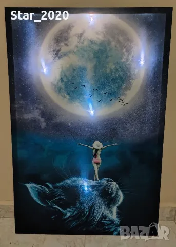 Светеща картина с LED осветление - жена о котка, снимка 2 - Картини - 49690500