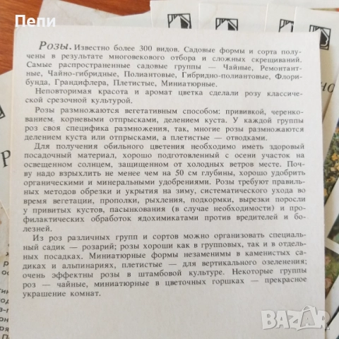 Комплект, каталог за цветя, снимка 5 - Други ценни предмети - 52221302