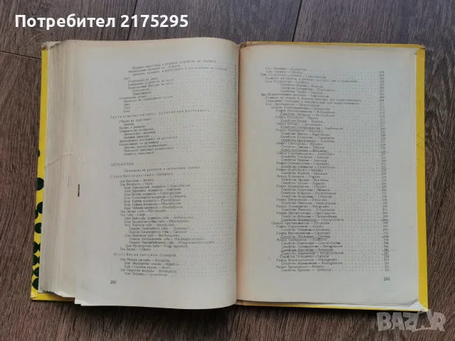 Ботаника - Земиздат -Г.Георгиев, 1973г., снимка 12 - Учебници, учебни тетрадки - 56225154