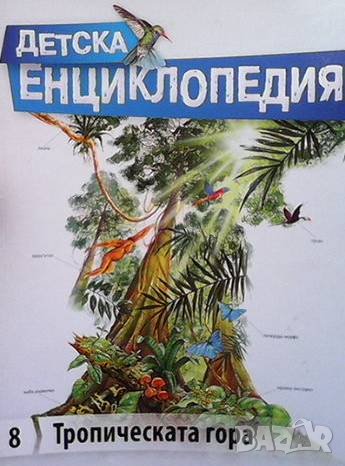 Детска енциклопедия. Том 8: Тропическата гора