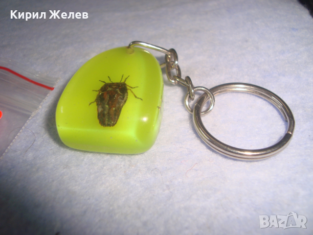 ИНТЕРЕСЕН КЛЮЧОДЪРЖАТЕЛ с ХЕРБАРИЗИРАНО БРЪМБАРЧЕ 14325, снимка 3 - Други - 36246312
