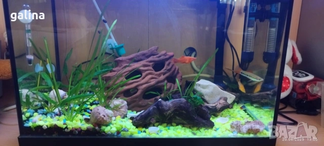 аквариум 60л