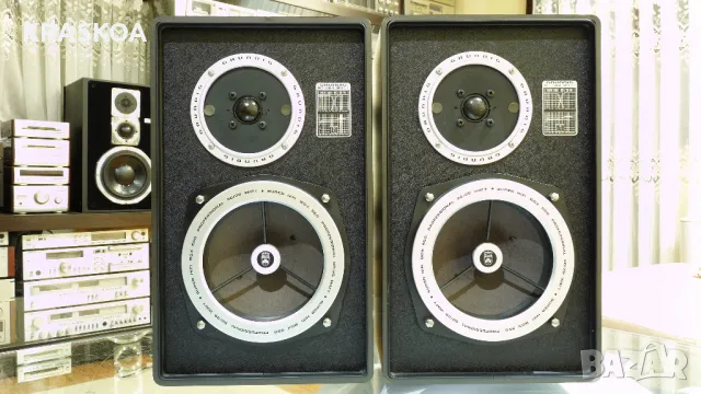 GRUNDIG BOX 550 PROFESIONAL, снимка 2 - Тонколони - 47622516