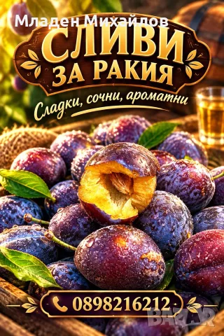СЛИВИ ЗА РАКИЯ СТЕНЛЕЙ