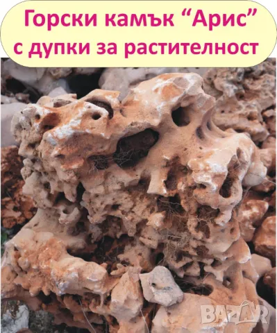 големи Горски КАМЪНИ за Декорация в двора, на цветни лехи, градински пътеки, кашпи, саксии, фонтани…, снимка 2 - Строителни материали - 49134864