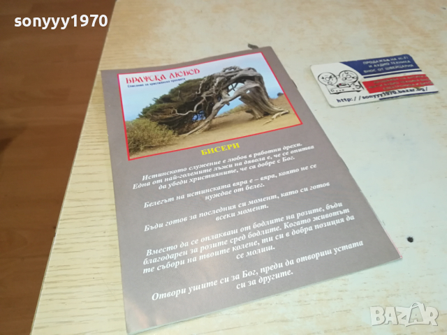 БРАТСКА ЛЮБОВ 0303241645, снимка 13 - Художествена литература - 44586067