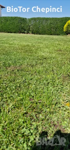 🌿Наторяване на трева с тор от Калифорнийски червей, снимка 4 - Тор и почвени смеси - 49967903