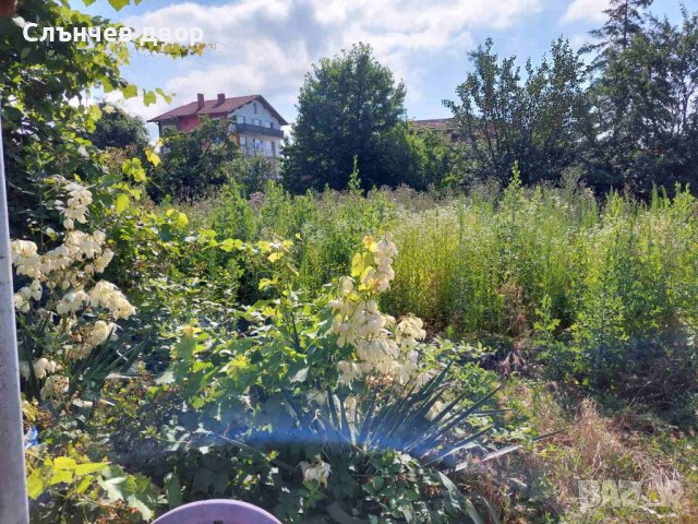 Косене на трева. Рязане на храсти и опасни дървета. Разчистване на терени., снимка 5 - Други услуги - 40197343