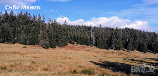 Продавам парцел на Пампорово - Райковски ливади.🌲, снимка 2 - Земеделска земя - 38695540