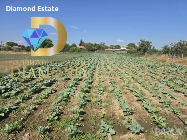 Парцел в село Брод, общ. Димитровград, снимка 2 - Парцели - 51350990