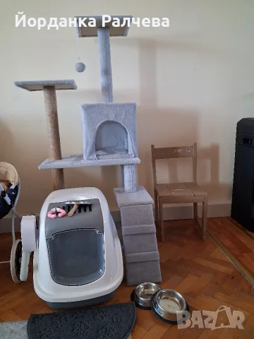Аксесоари за котка 