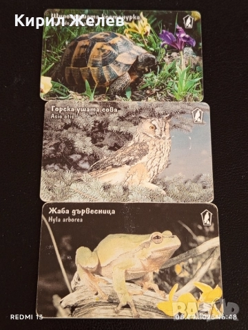 Три фонокарти тема ЖИВОТНИ ШИПООПАШАТА КОСТЕНУРКА,СОВА,ЖАБА 50812