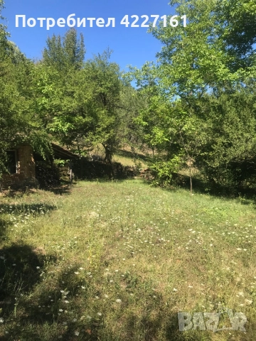 Селска къща, снимка 7 - Къщи - 51512118