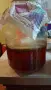 Домашна Комбуча чаена Гъба scoby (Скоби) + Стартер течност за напитка, снимка 2