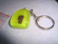 ИНТЕРЕСЕН КЛЮЧОДЪРЖАТЕЛ с ХЕРБАРИЗИРАНО БРЪМБАРЧЕ 14325, снимка 3