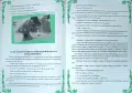 Звезден сън / Войната на Андроните Мария Маринова , снимка 8