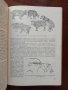 Биология на размножаването и изкуствено осеменяване на селскостопанските животни, снимка 4