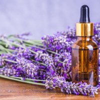 Лавандулово масло/Lavender essential oil, снимка 2 - Ароматизатори - 41265965