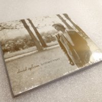 [НОВ] David Sylvian – Brilliant Trees, снимка 1 - CD дискове - 42327185