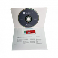 11 Pro Professional 64 Bit English 1PK DSP OEI DVD, снимка 1 - Други - 36316836