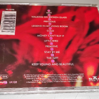Annie Lennox CD, снимка 3 - CD дискове - 36154843