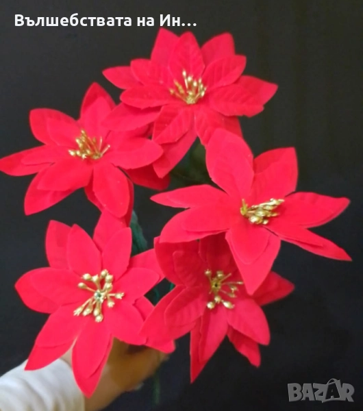 Букет коледна звезда , снимка 1