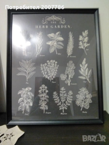 Подправки -графика, снимка 1