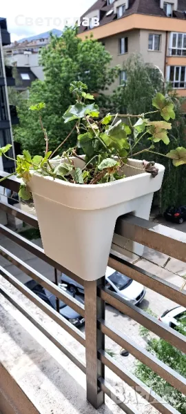 Саксии за тераса, снимка 1