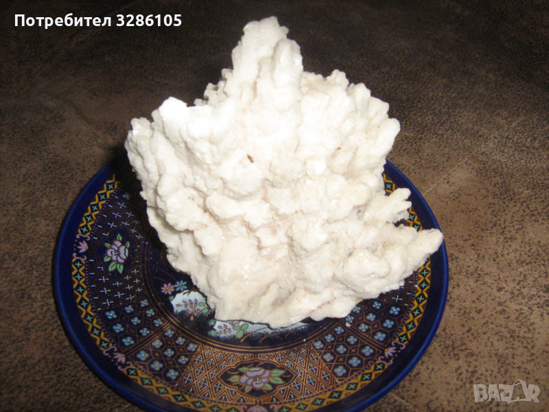 корали от червено море, снимка 1