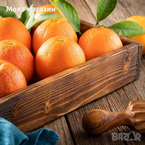 Портокал - Облагородени, снимка 5 - Градински цветя и растения - 53632628