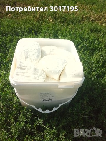 Домашно  КОЗЕ мляко, сирене!, снимка 7 - Домашни продукти - 41722832