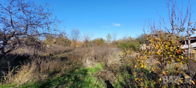 Къща с голям двор, пещ и допълнителни постройки – отлична цена!, снимка 6 - Къщи - 52416813