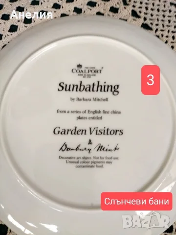 Чинии за стена Coalport England Градински посетители, снимка 9 - Декорация за дома - 56126143
